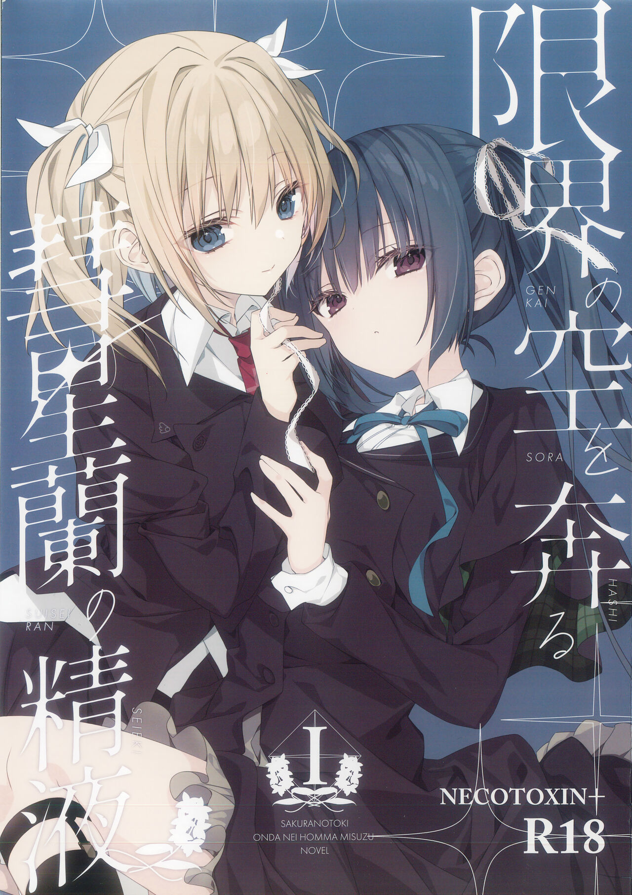 Genkai no Sora wo Hashiru Suiseiran no Seieki page 1 full