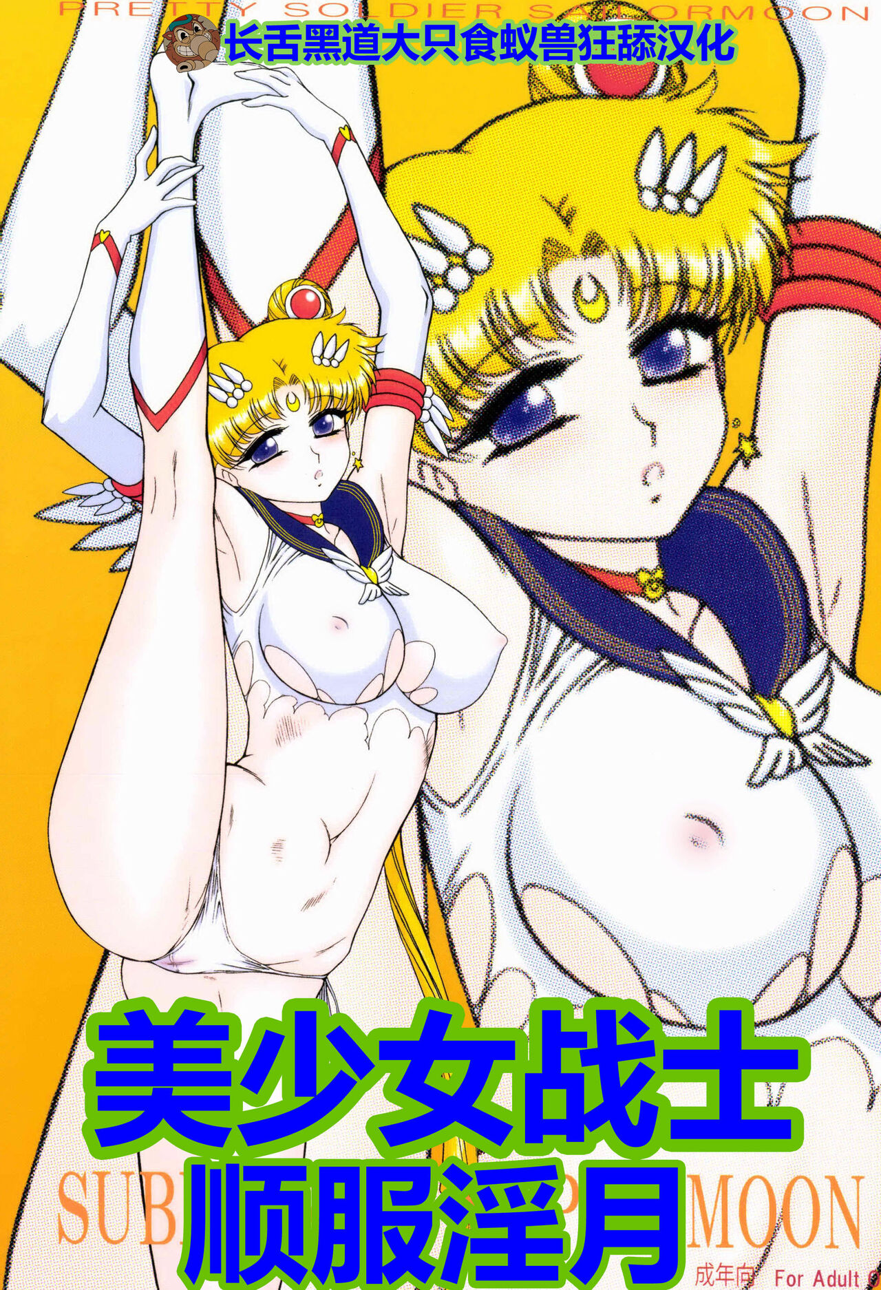 SUBMISSION-SUPER MOON | 美少女战士 顺服淫月 page 1 full
