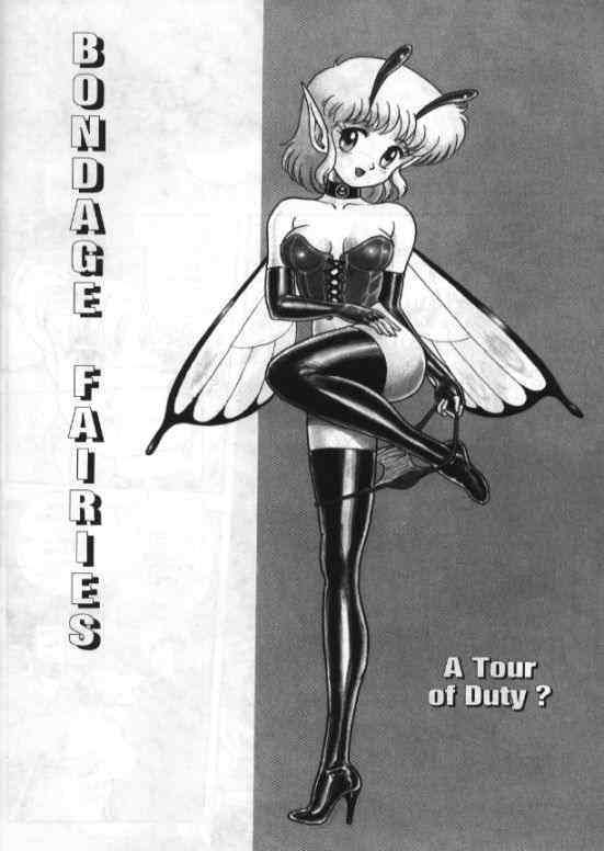 Bondage Fairies page 1 full