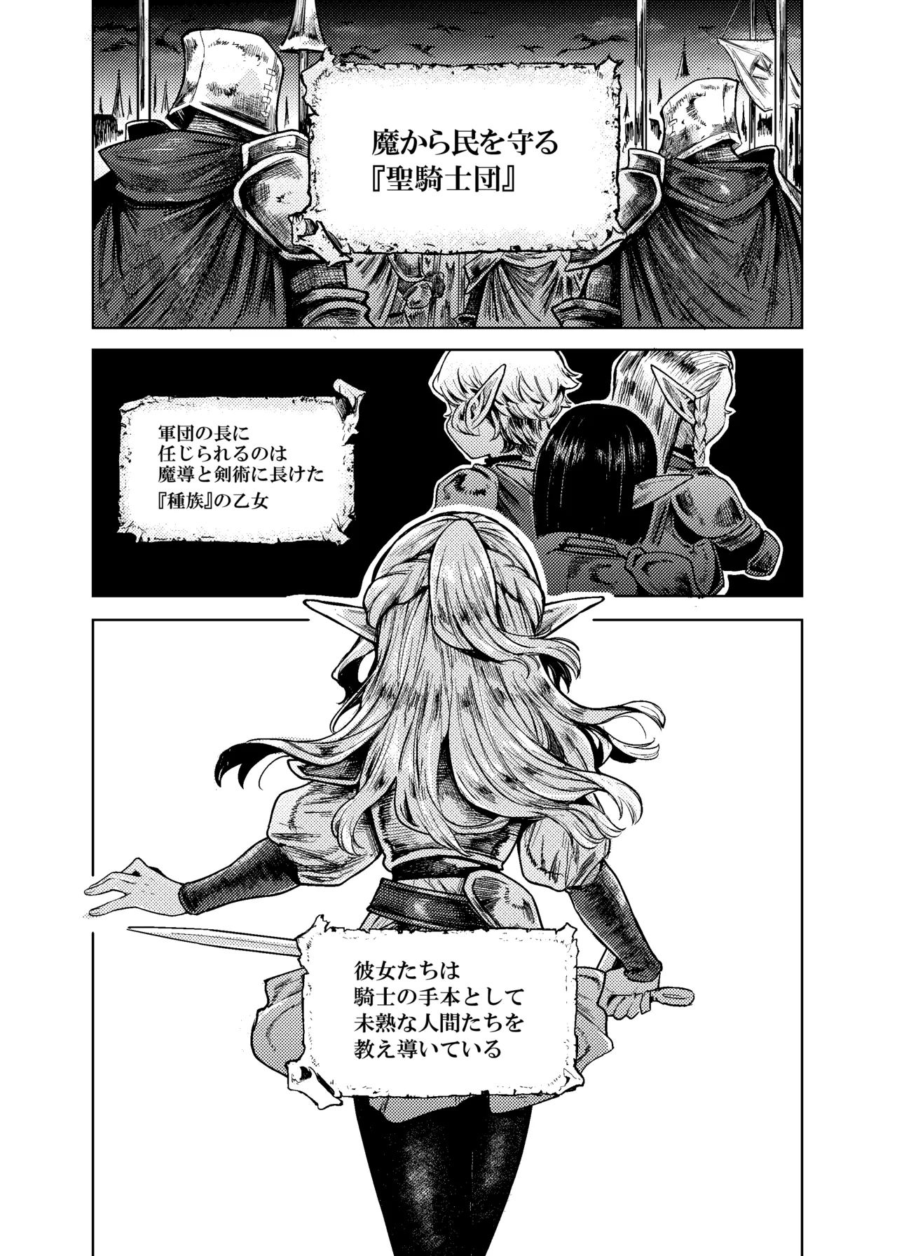 Seikishi Danchou-sama wa Injutsu no Chiryou no Tame ni Shoukan e Ikimashita page 2 full