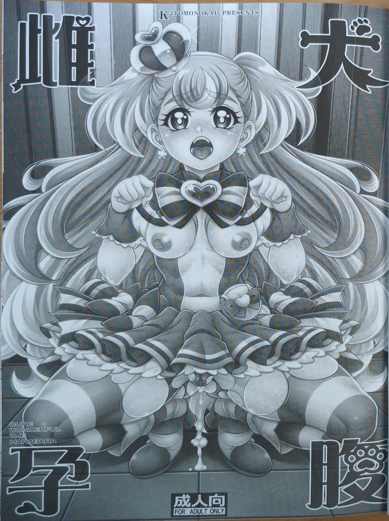 雌犬孕腹 【写真】 page 2 full