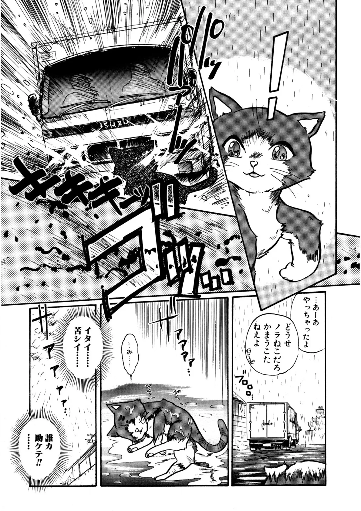 A Stray Cat on the Street page 4 full