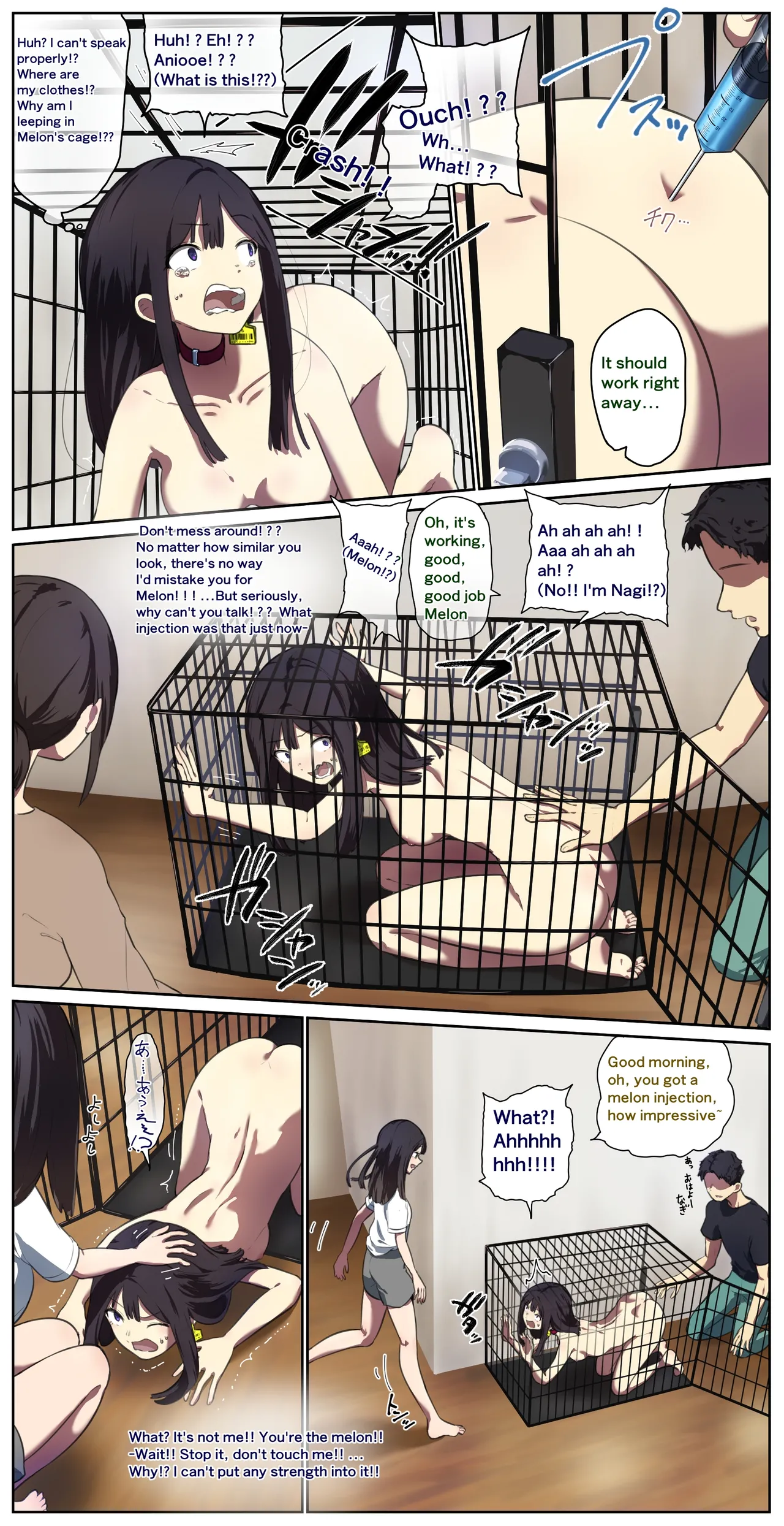 Houses with pets page 5 full