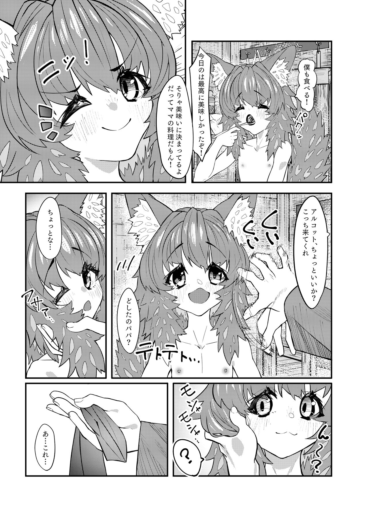 ドラッ娘chanとけもみみショタkun本―運命の?出会い編― page 8 full