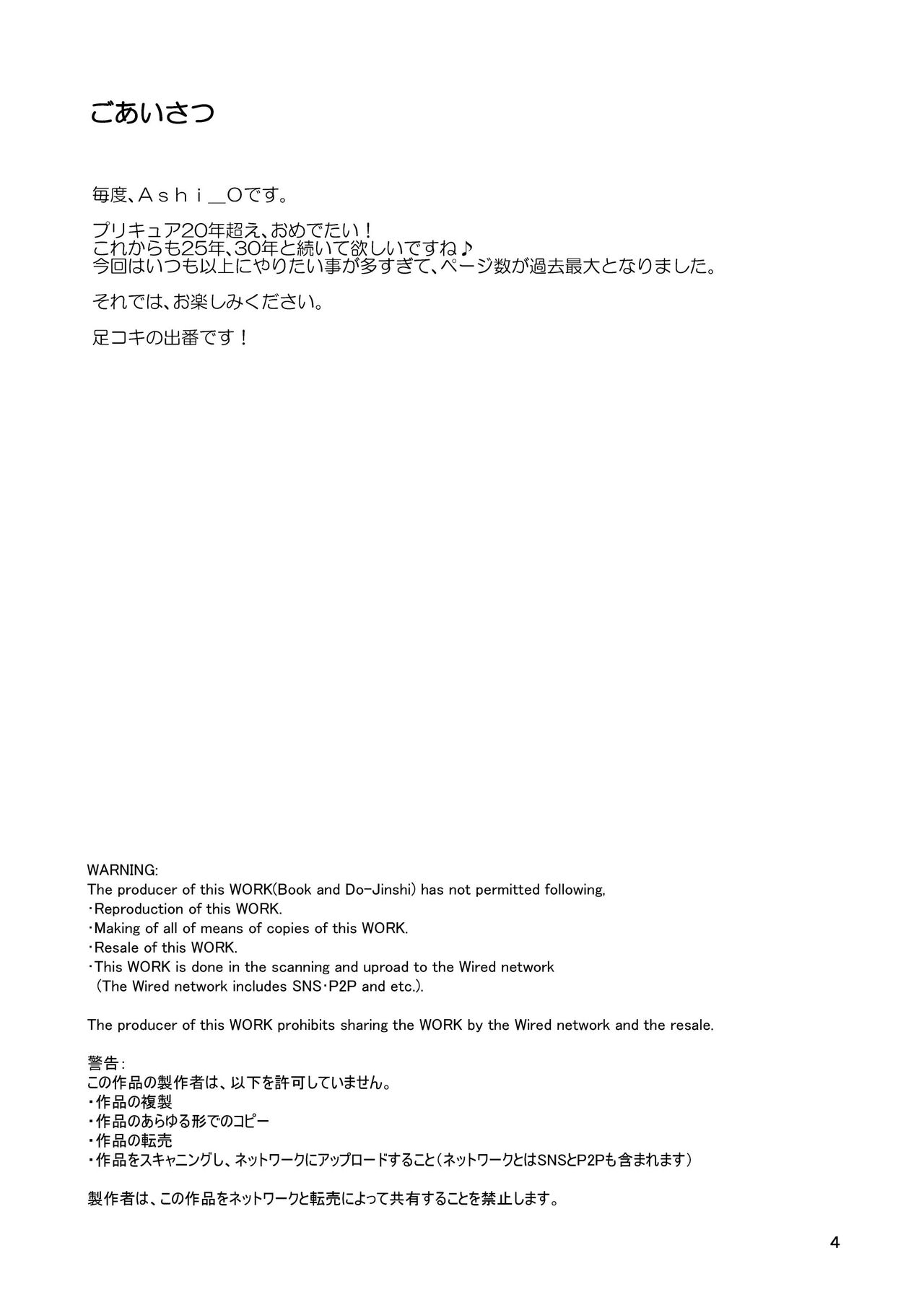 Hirogaru Sky! Zuricure 【一个人汉化】 page 3 full