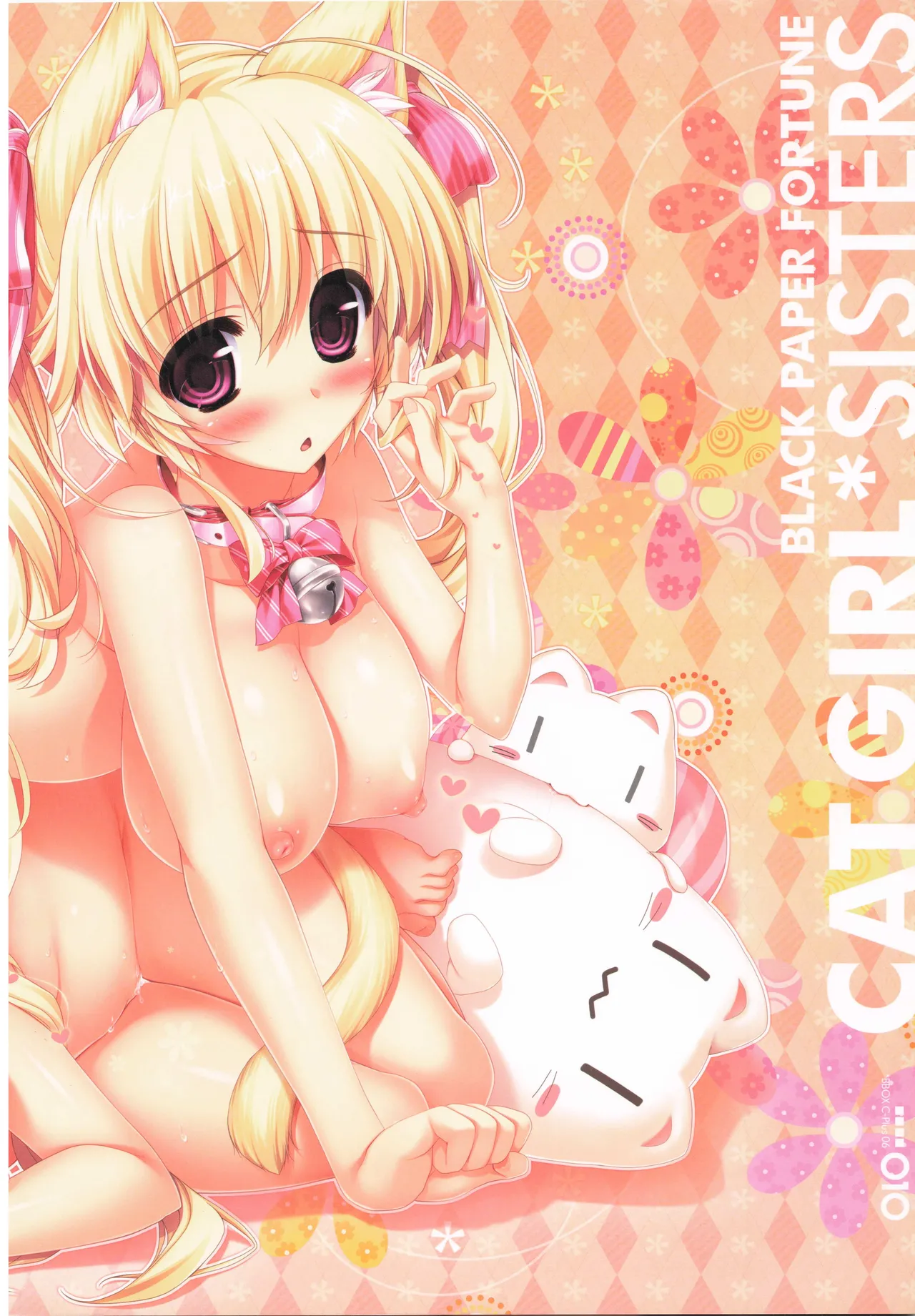 BBOX C-Plus 06 page 10 full