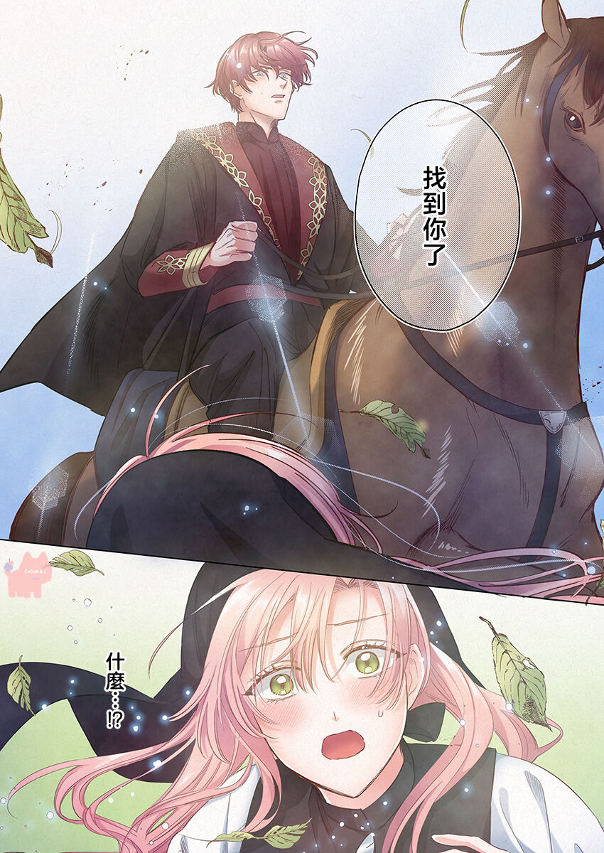 ai ga omoi kishi koushaku ha、tuihou reijou no subete wo ubai tukushitai。【HQ Full Color】 | 爱得太深沉的骑士公爵，想要夺得流放千金的一切。【HQ全彩版】01 page 9 full