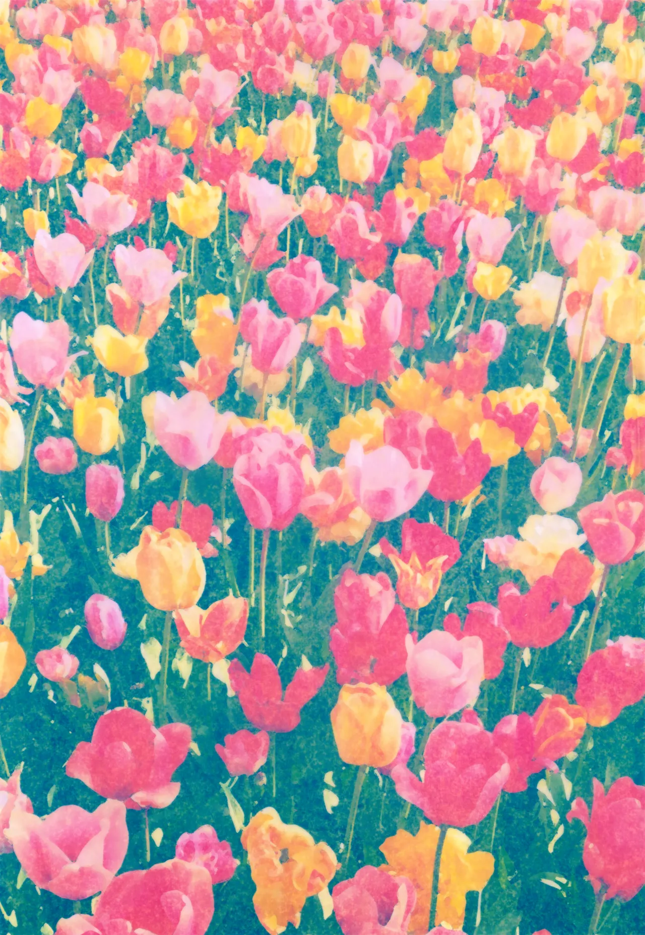 Kono Kimochi ni Namae o Tsukeyou. page 2 full