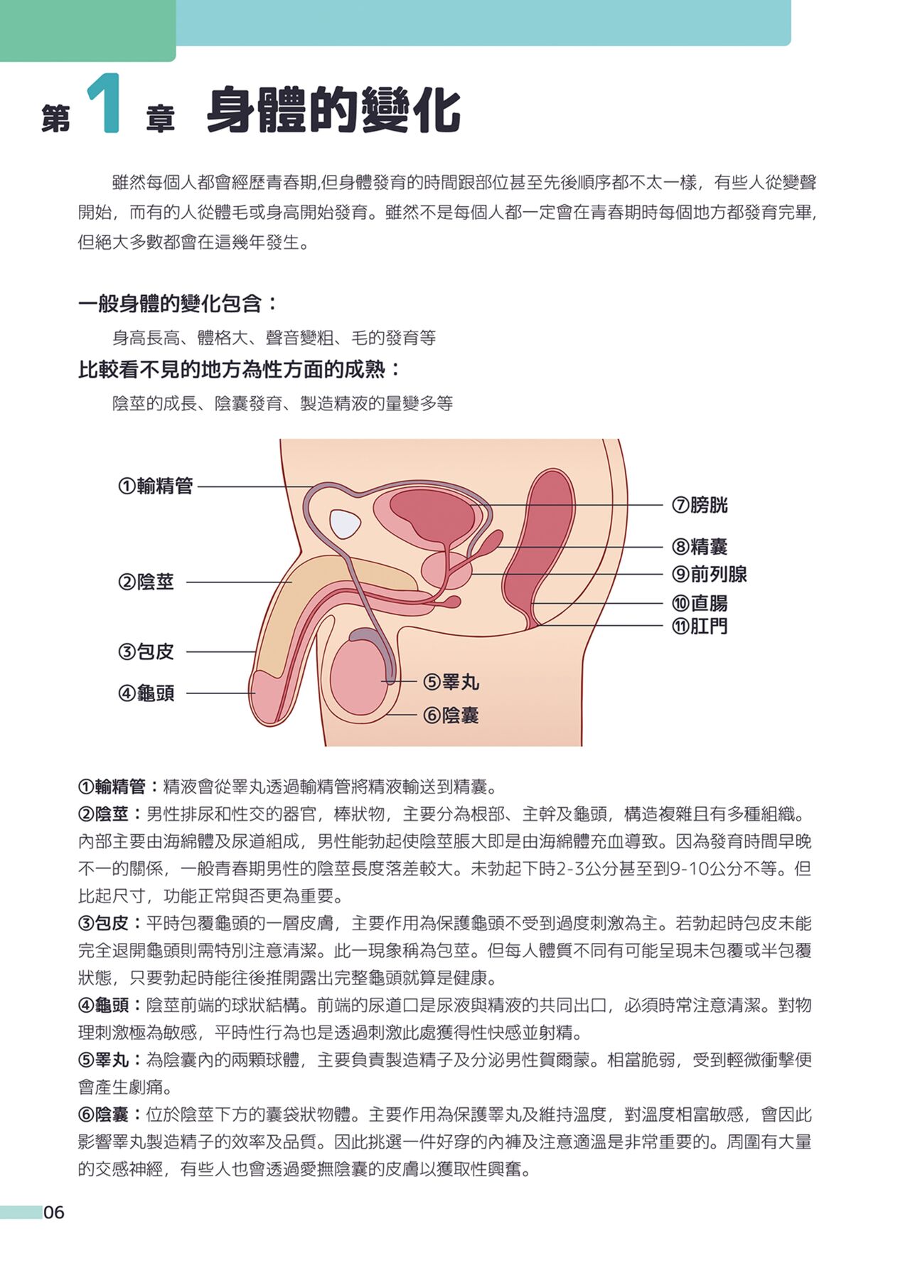 Itazura Shounen Kansatsu Nikki | 一起快樂學~ 小健老師的健康教育 page 7 full