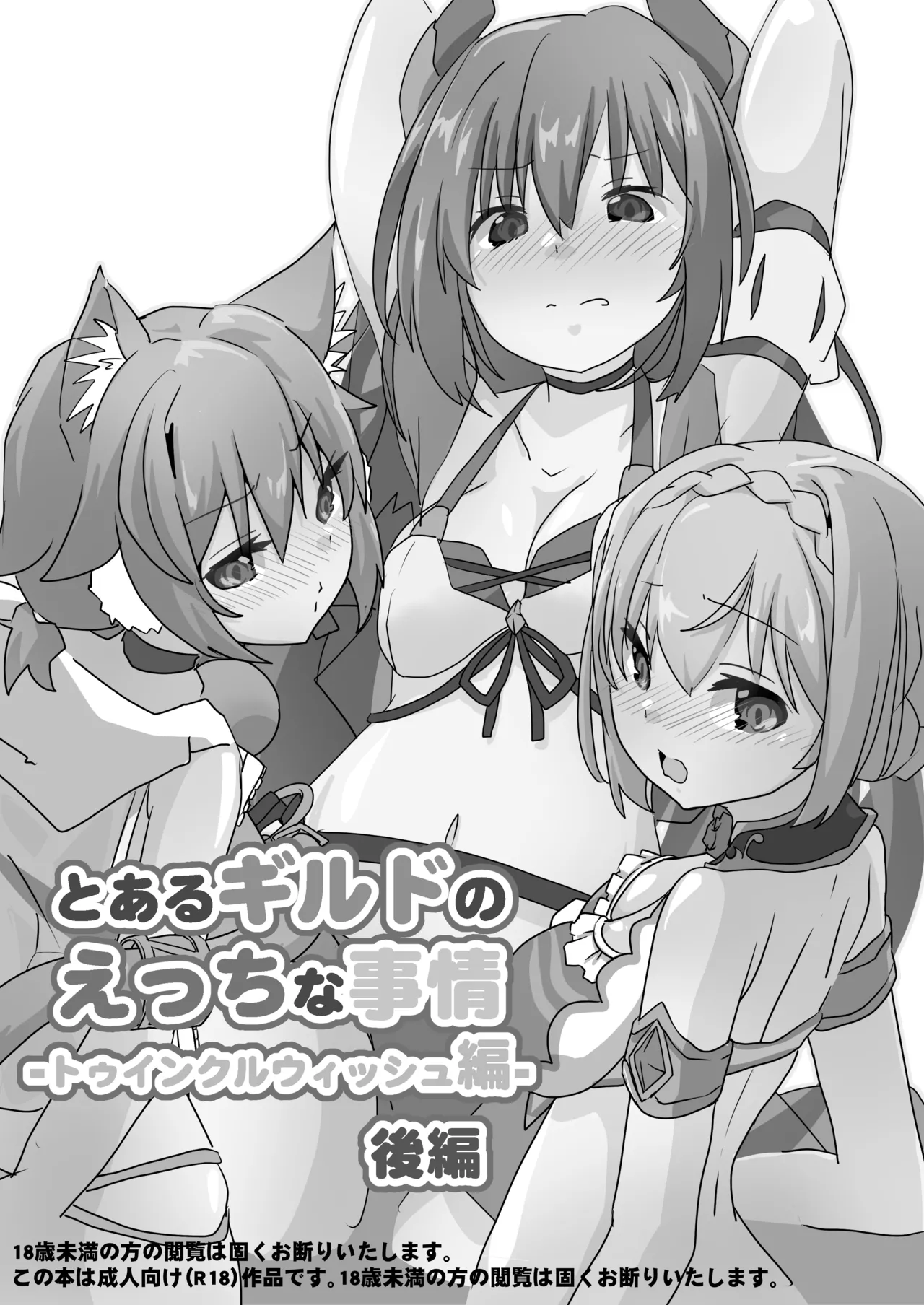 Toaru Guild no Ecchi na Jijou - Twinkle Wish-hen - Kouhen page 2 full