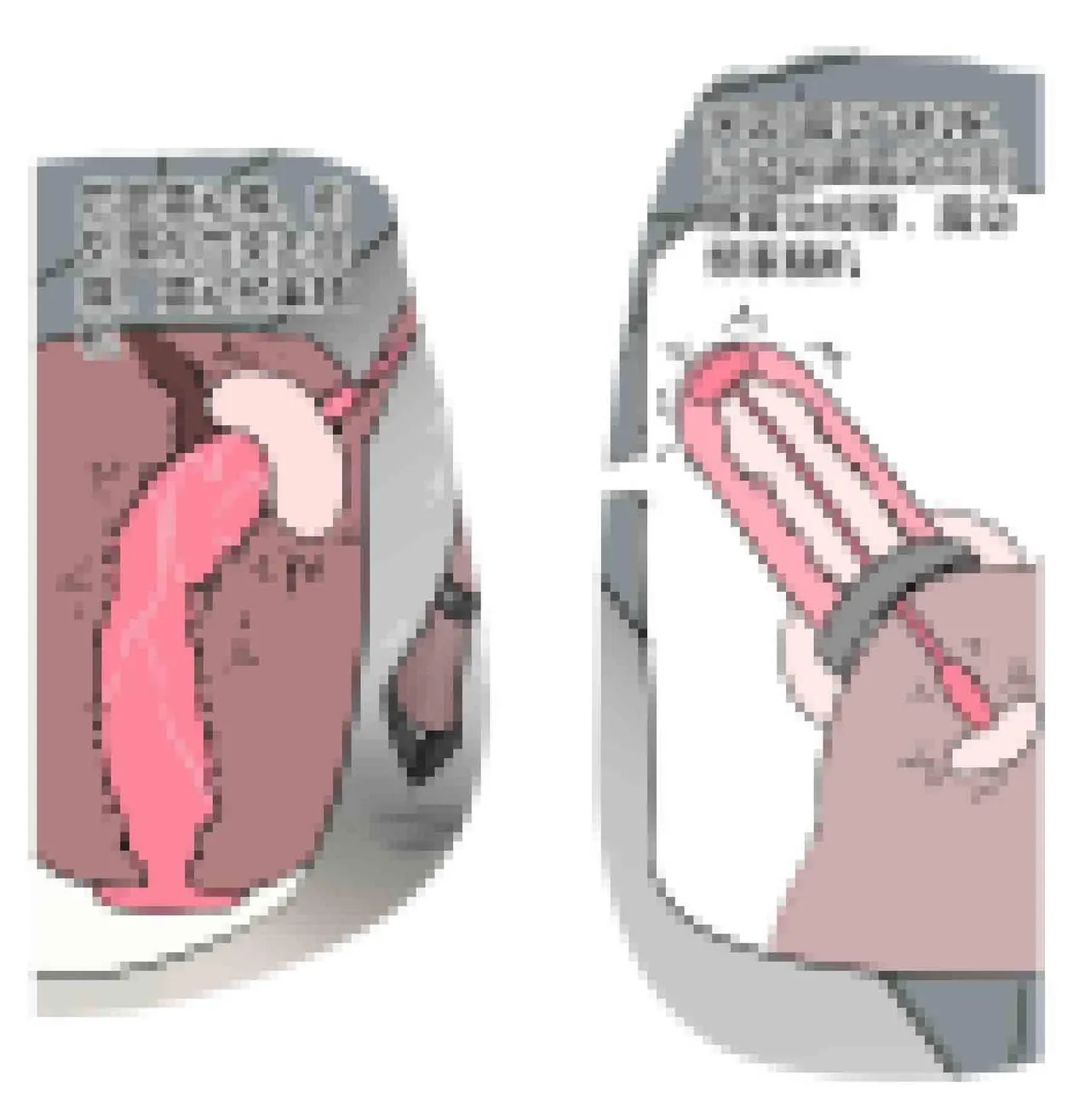 《被拉走玩坏的自缚伪娘》 page 2 full