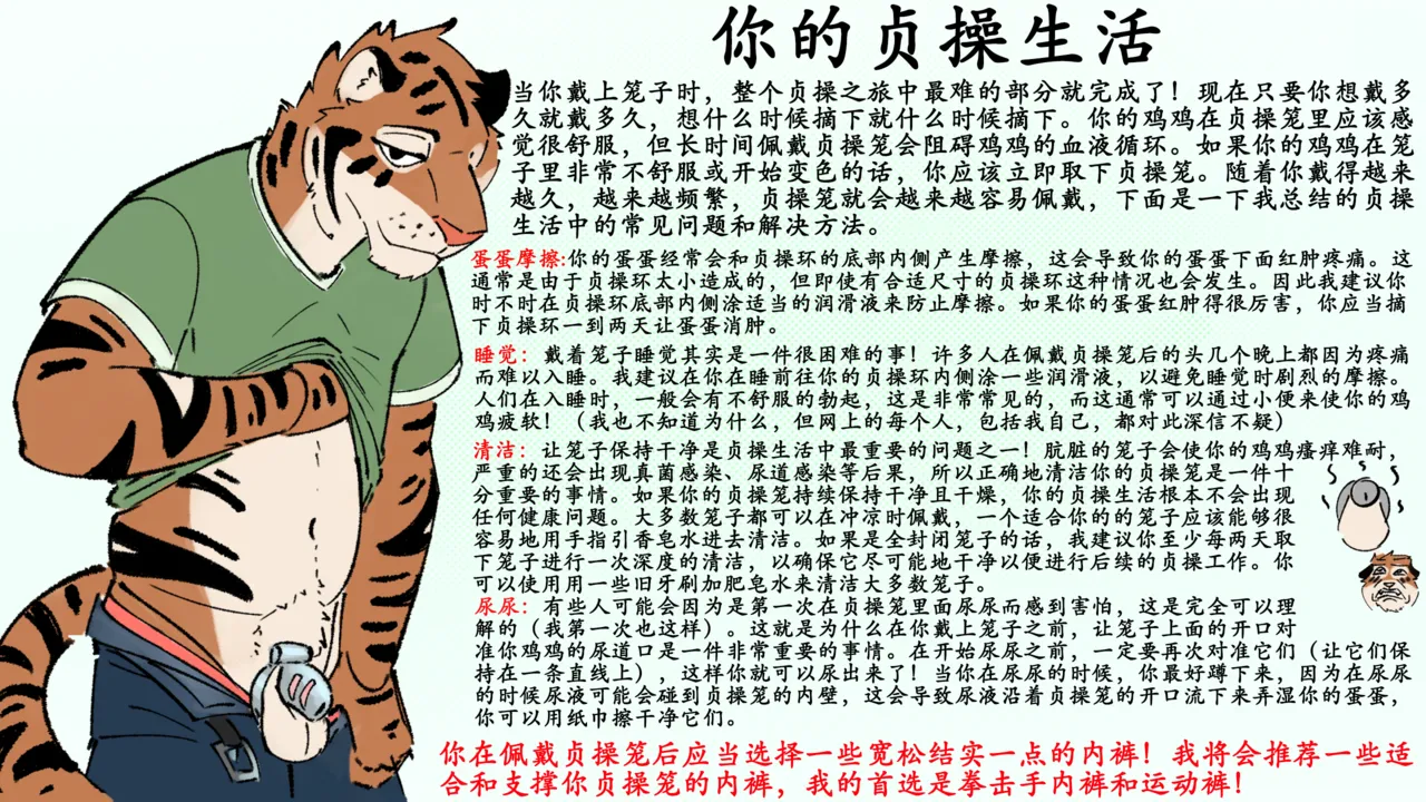 Picante's chastity guide page 5 full