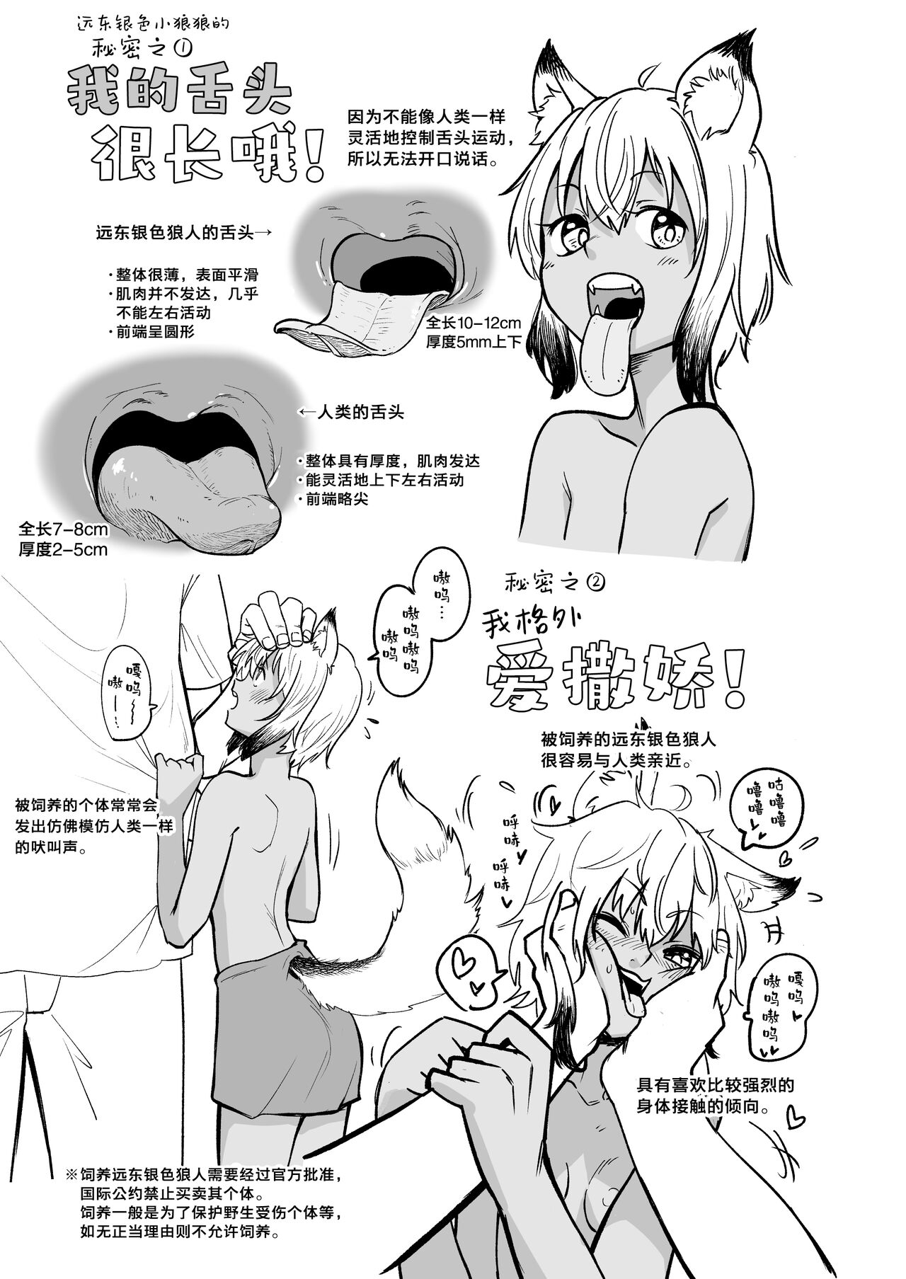 Zukai Kyokutou Giniro Jinrou-chan no Kaikata Handbook Hatsujouki no Osewa Hen | 图解 远东银色小狼狼的饲养方法 操作手册 发情期的护理篇 page 3 full