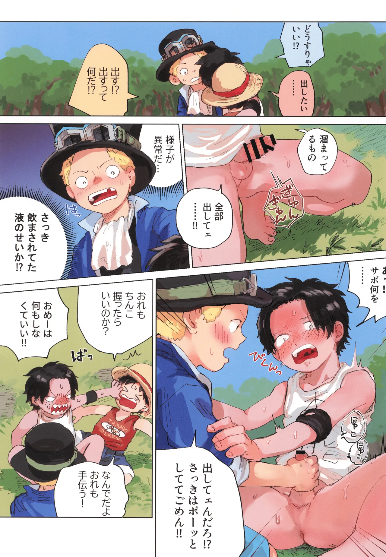 Shokushu × Ace Sabo & Luffy biyaku 3P hon page 5 full