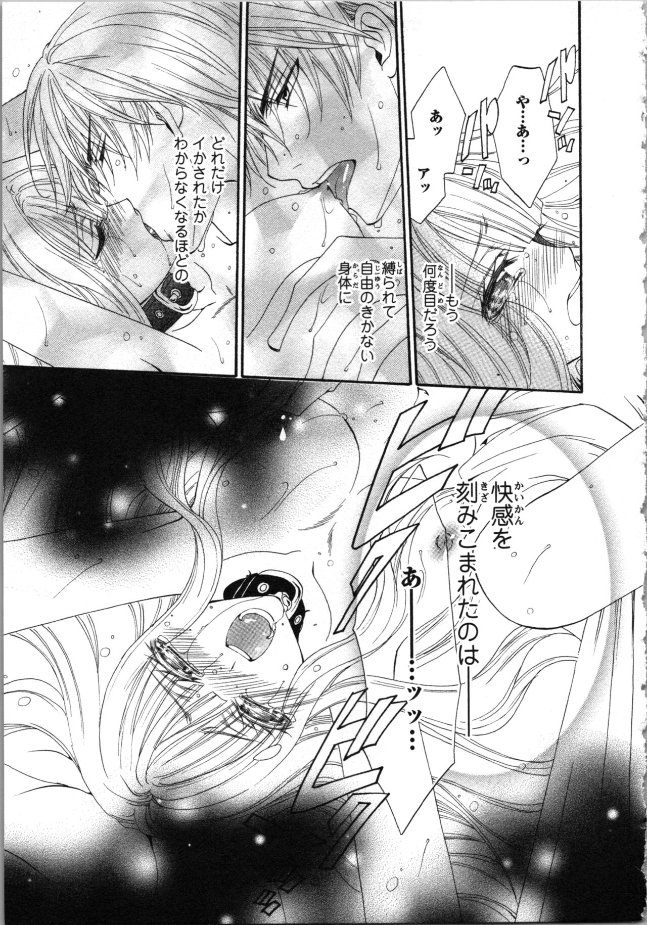 Tsunagareta Kubiwa - Kainushi kara no Chijoku page 9 full