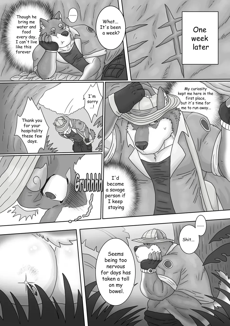 The Wild Secluded Region page 10 full