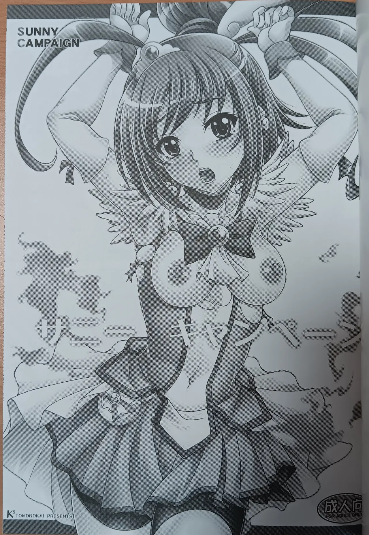 Sunny Campaign page 2 full