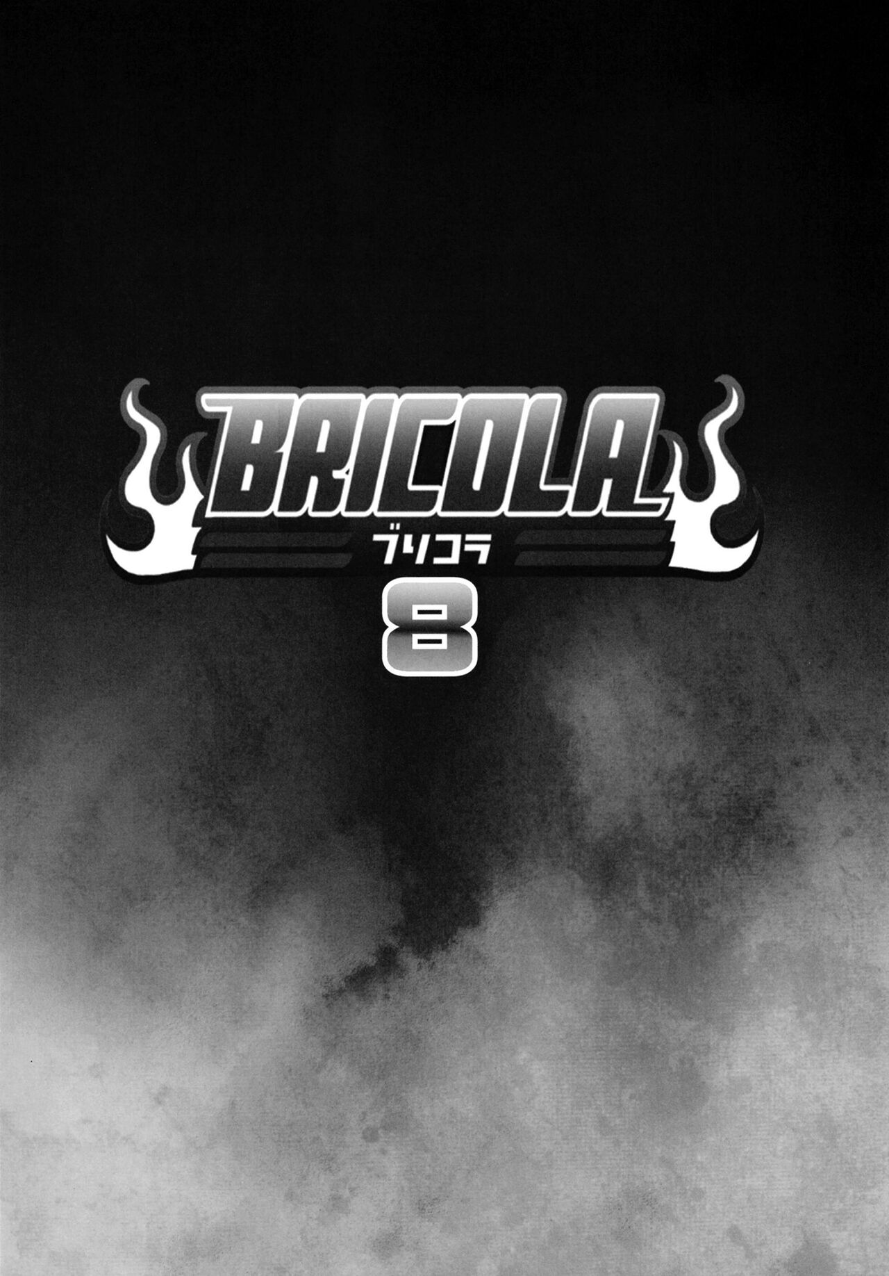 BRICOLA 8 page 2 full