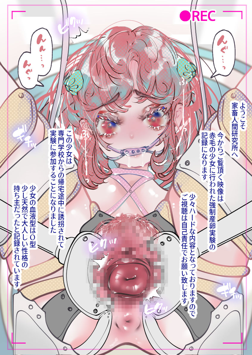 Shoujo yuukai jikken vol. 29: Ningenkachikukenkyujo gijiran no kyouseisanranjikken wo ukeru onnanoko kurirido kyoseizetchosampo page 1 full