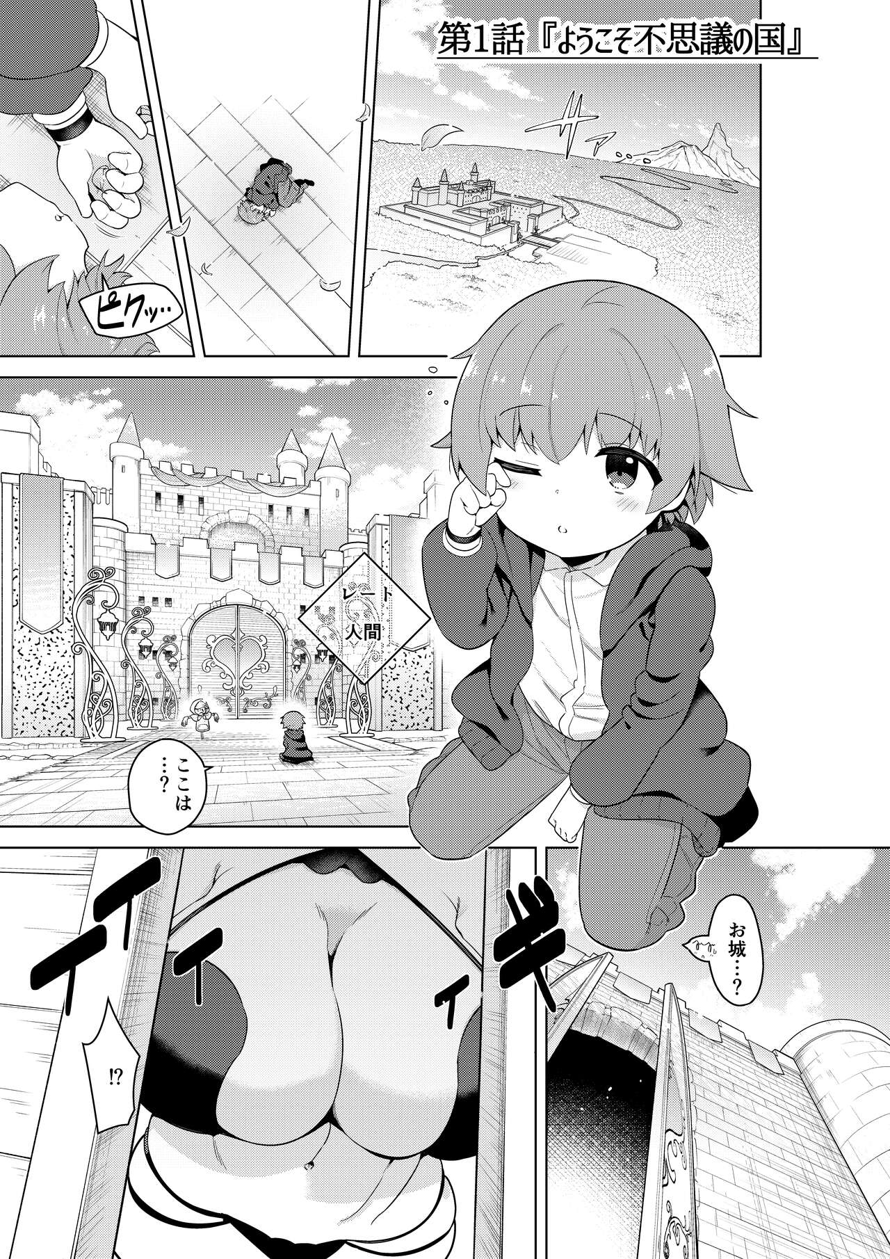 Succubus in Wonderland: Comicalize! Volume 1 page 4 full