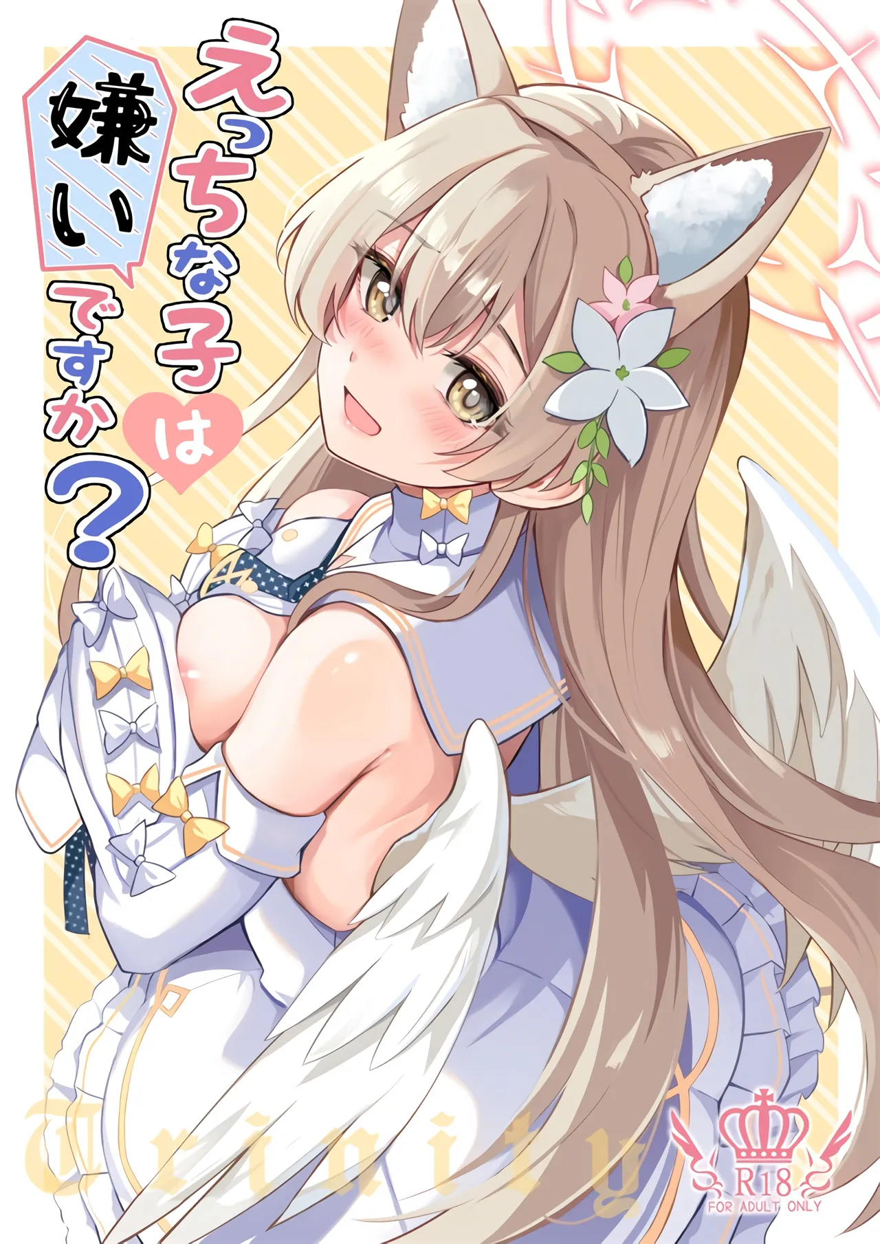 Ecchi na Ko wa Kirai desu ka? page 1 full