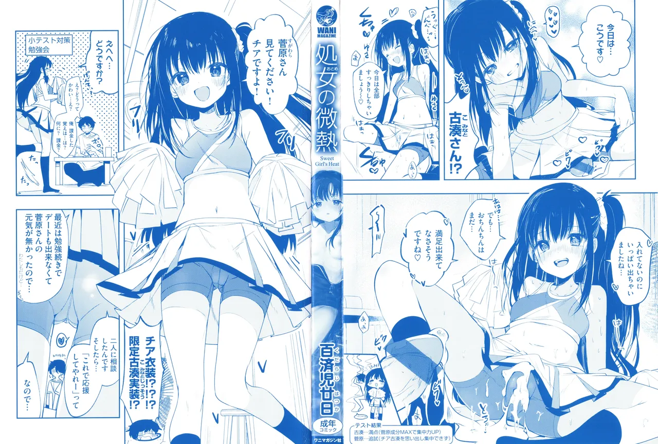 Otome no Binetsu page 3 full