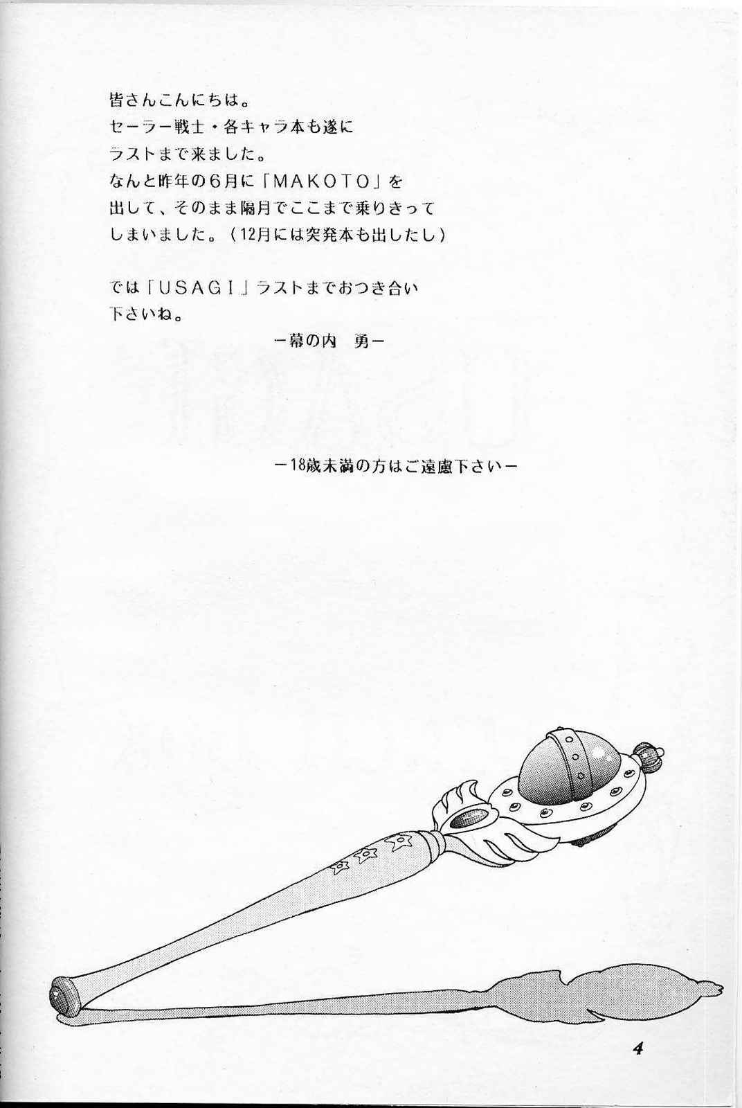 LUNCH BOX 6 USAGi page 3 full