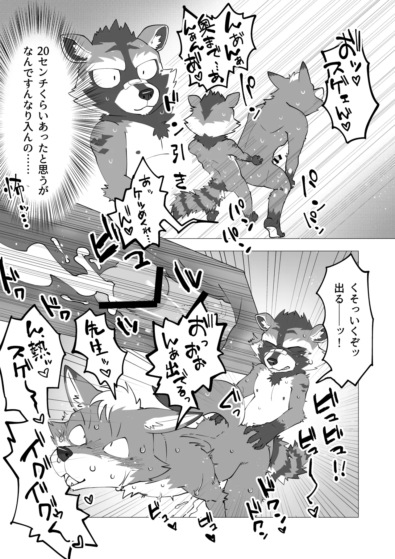 Complete Size page 8 full