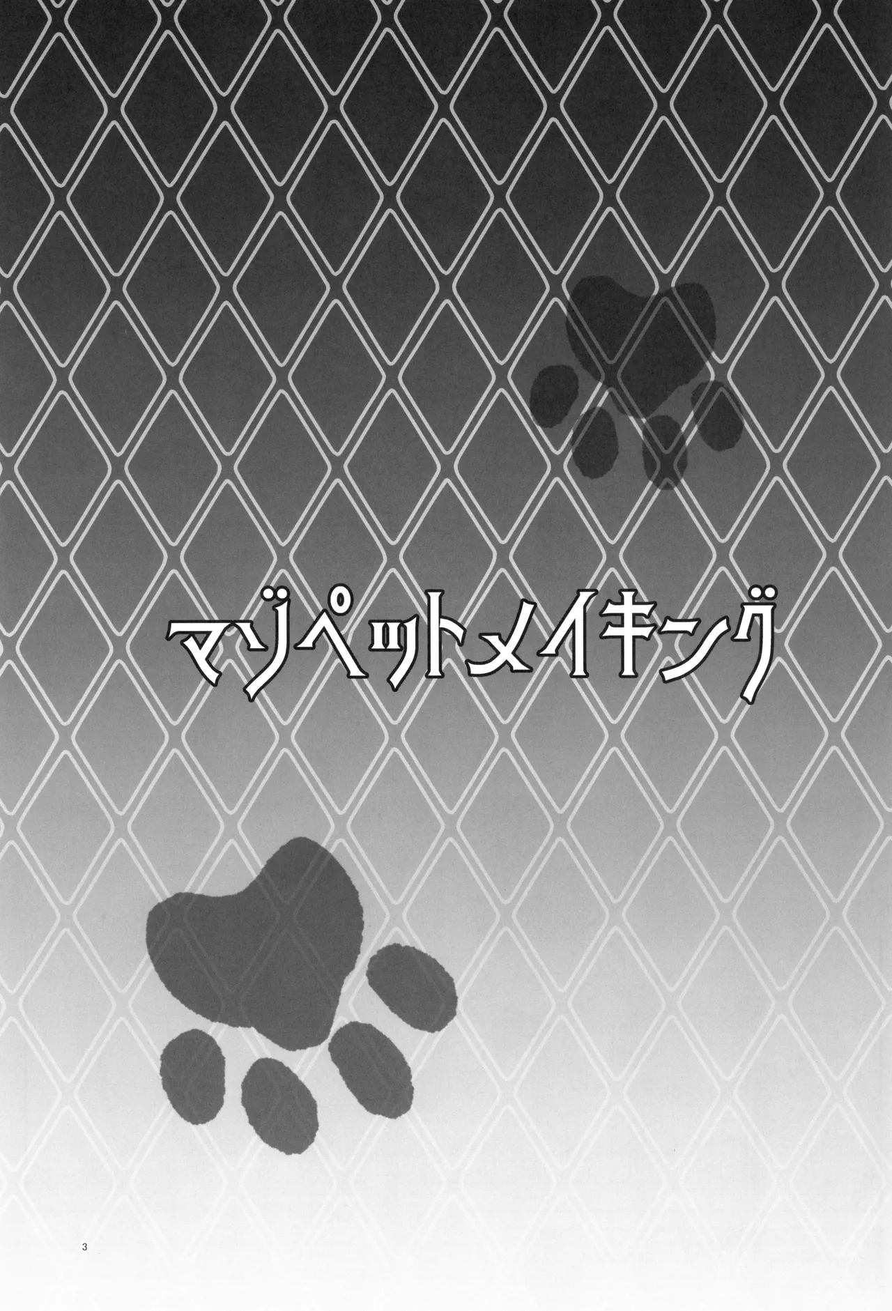 Maso Pet Making + Paper / The Making Of A Masochistic Pet page 3 full