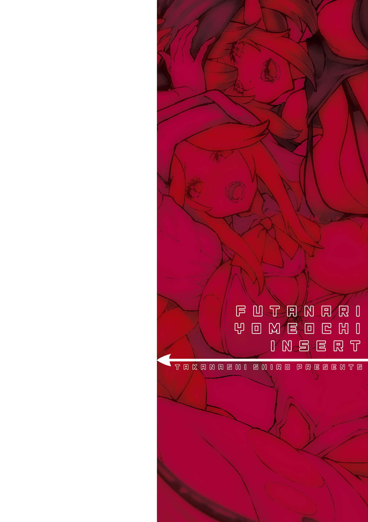 ふたなり嫁堕ちインサート page 2 full