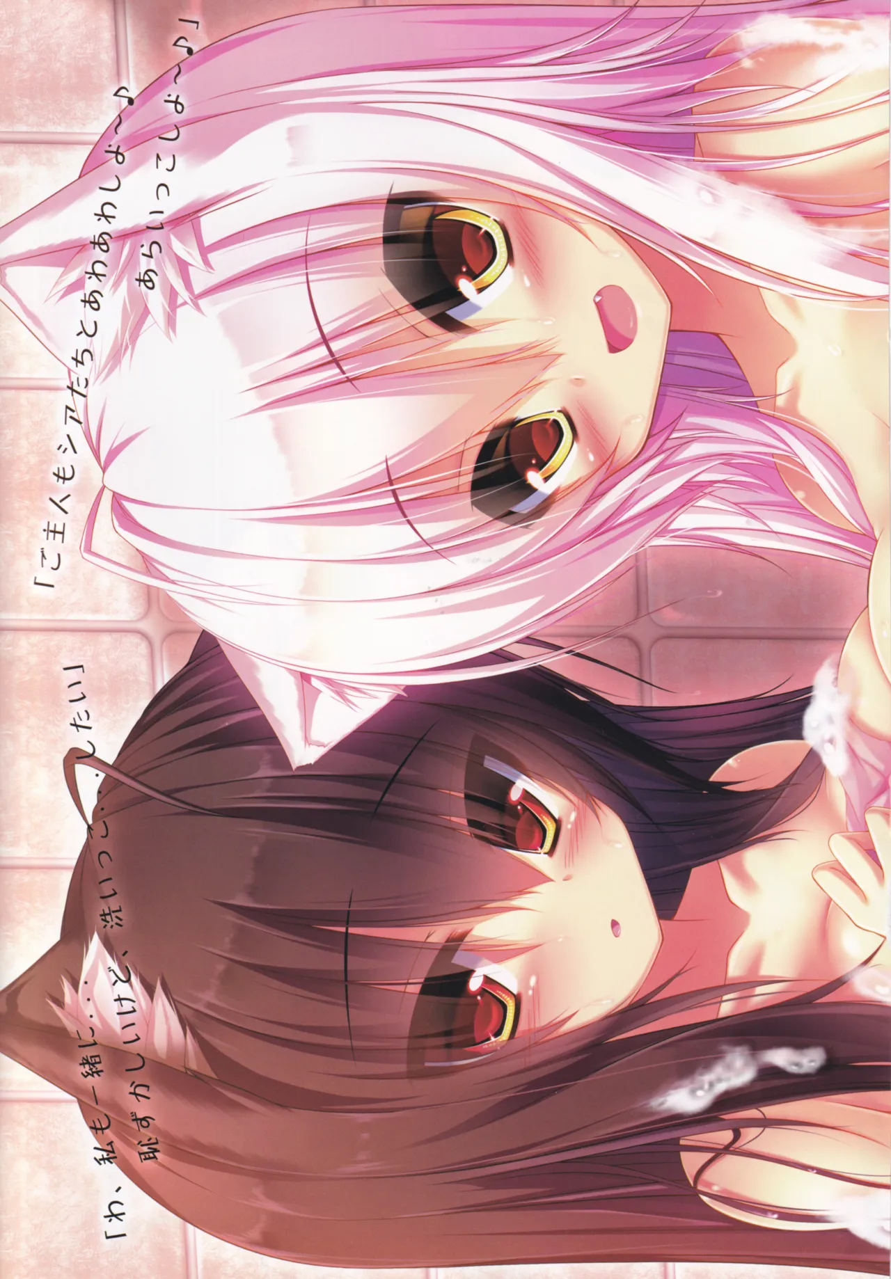 My Cats & Biscuit Vol.6 page 4 full