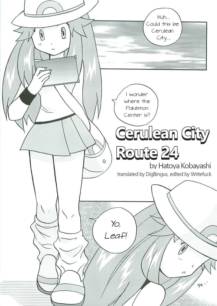 Cerulean City Route 24 page 2 full