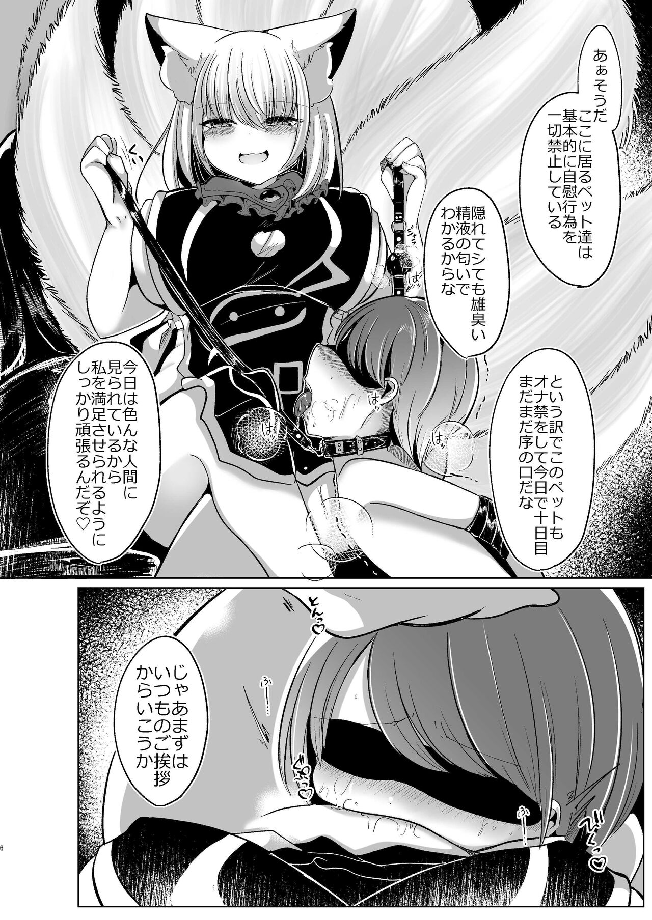 八雲藍が性処理ペットと戯れる本 page 6 full