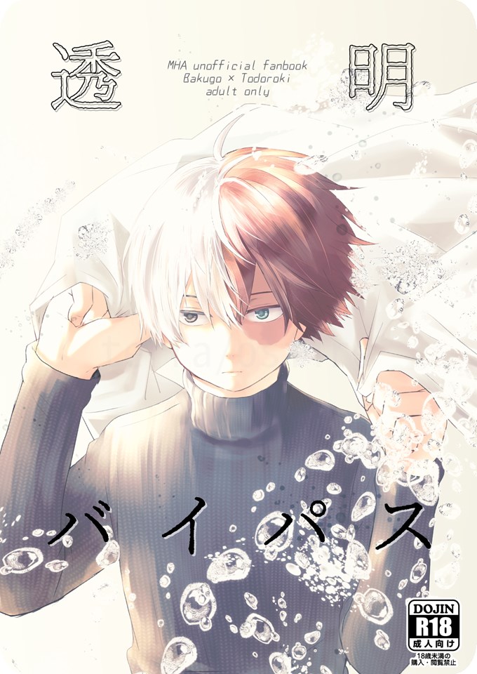 透明バイパス page 1 full