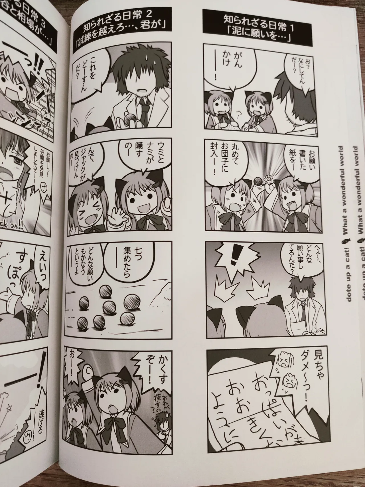 Neko Kawaigari! What A Wonderful World page 9 full